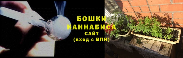 прущие грибы Арсеньев