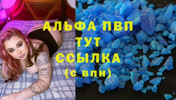 прущие грибы Арсеньев