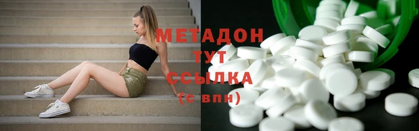 прущие грибы Арсеньев