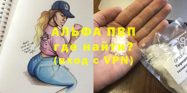 прущие грибы Арсеньев