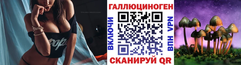 Псилоцибиновые грибы Psilocybe закладки Саки